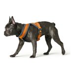 Hondentuigje Hunter London Comfort 48-56 cm Oranje Maat S/M