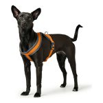 Hondentuigje Hunter London Comfort Oranje S/M 52-62 cm