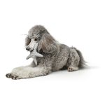 Hondenspeelgoed Hunter Skagen Donkerblauw