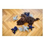 Hondenspeelgoed Hunter Skagen Donkerblauw