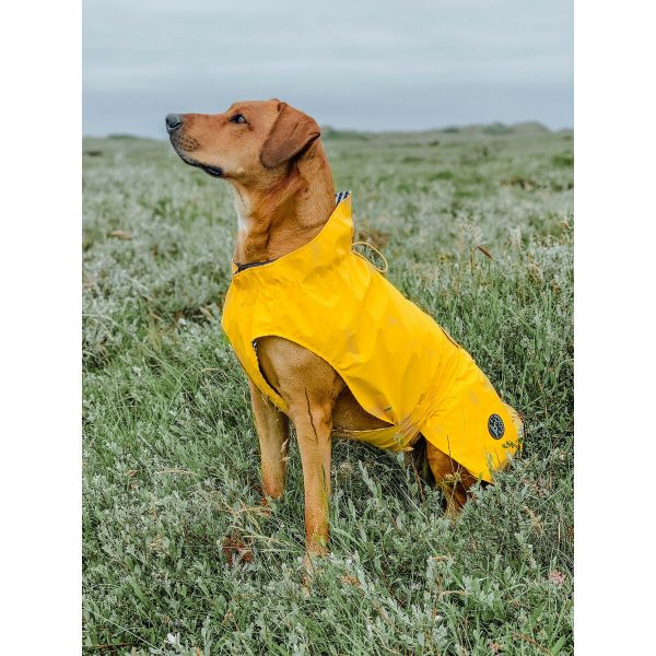 Hondenjas Hunter Milford Geel 50 cm