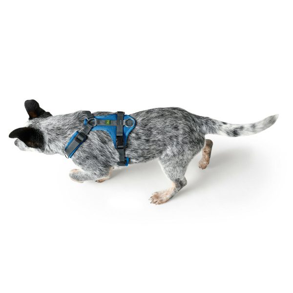 Hondentuigje Hunter Maldon Up Blauw 31-49 cm