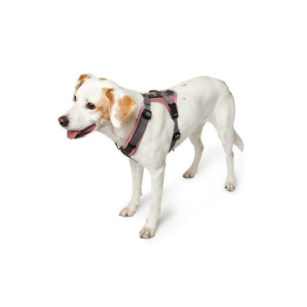 Hondentuigje Hunter Maldon Up Roze 38-62 cm