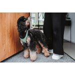 Hondentuigje Hunter Comfort Groen XS/S 37-42 cm