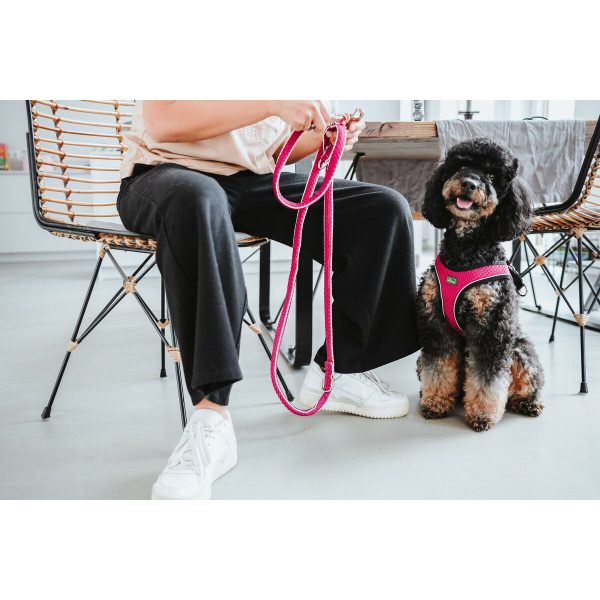Hondentuigje Hunter Comfort Fuchsia S/M 48-55 cm