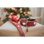 Hondenhalsband Hunter Love Rood S/M 38-44 cm