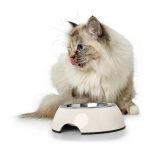 Voerbak voor honden Hunter Melamine Roestvrij staal Wit 350 ml (18,5 x 18,5 x 9,5 cm)