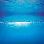 Poster Juwel 2 S Muurschildering Aquarium