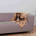 Huisdierendeken Trixie Laslo Multicolour Polyester 100 x 150 cm