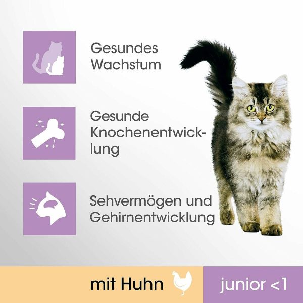 Kattenvoer Perfect Fit Junior 750 g