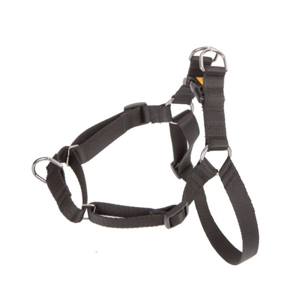 Hondentuigje Dingo 94466 Zwart