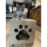 Krabpaal voor Katten Carton+Pets Netti Brons Karton 35 x 35 x 35 cm