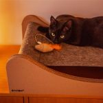 Kattenhangmat Carton+Pets Mia Grijs