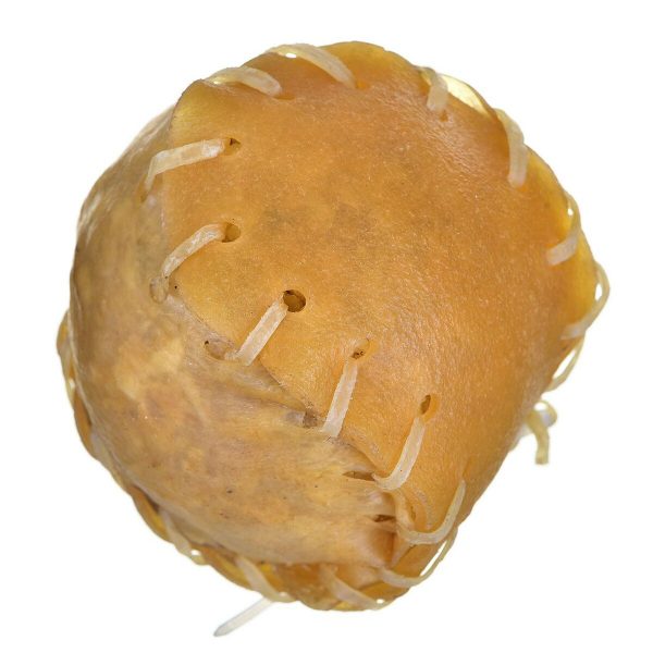 Snack voor honden Maced                                 Kalfsvlees