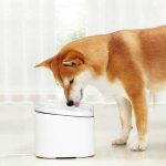 Drinkfontein Xiaomi XMI-BHR6161EU Wit 2 L