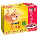 Kattenvoer Purina Friskies Mix Kip Kalfsvlees Lam Eend 12 x 85 g