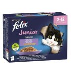 Kattenvoer Purina                                 Kip Zalm Kalfsvlees 12 x 85 g