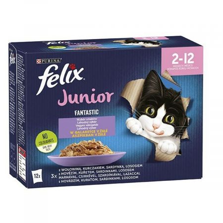 Kattenvoer Purina                                 Kip Zalm Kalfsvlees 12 x 85 g