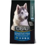 Voer Farmina Sensitive Fish Medium/Maxi Volwassen Vis 14 Kg