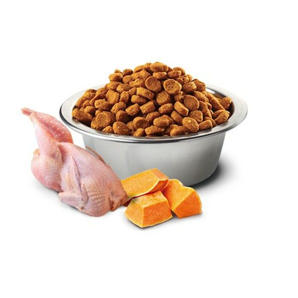 Kattenvoer Farmina   Pompoen Volwassen Kip 1,5 Kg