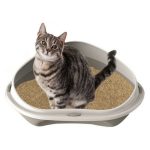 Kattenbak Shuttle Corner
