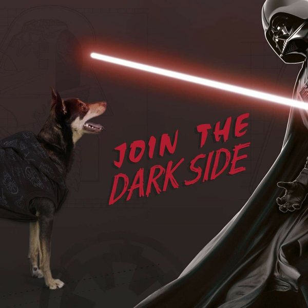 Hondentrui Star Wars S Zwart