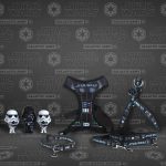 Hondenhalsband Star Wars XXS/XS Zwart