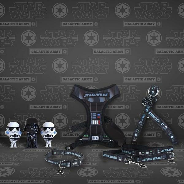 Hondenhalsband Star Wars XXS/XS Zwart