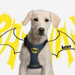 Hondentuigje Batman Blauw XS/S