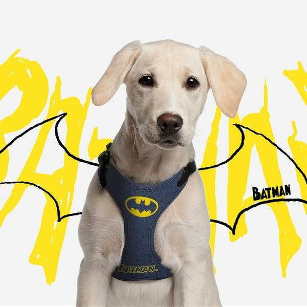 Hondentuigje Batman Blauw XS/S