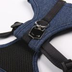 Hondentuigje Batman Blauw XS/S