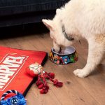 Voerbak voor honden Marvel Melamine 410 ml Rood Metaal