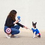 Hondenspeelgoed The Avengers   Blauw 100 % polyester
