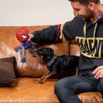 Hondenspeelgoed Spider-Man Rood