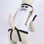 Hondenshirt Disney Pride