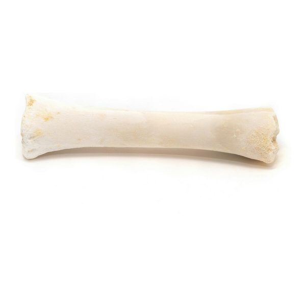Snack voor honden Gloria Bot Calcium 20 Stuks