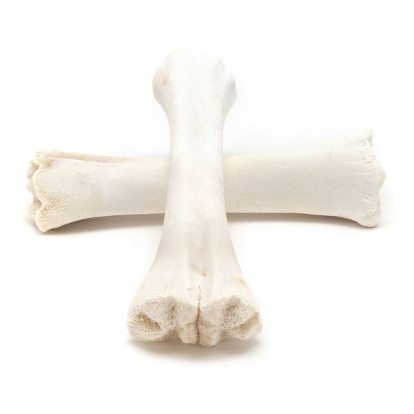 Snack voor honden Gloria Bot Calcium 20 Stuks