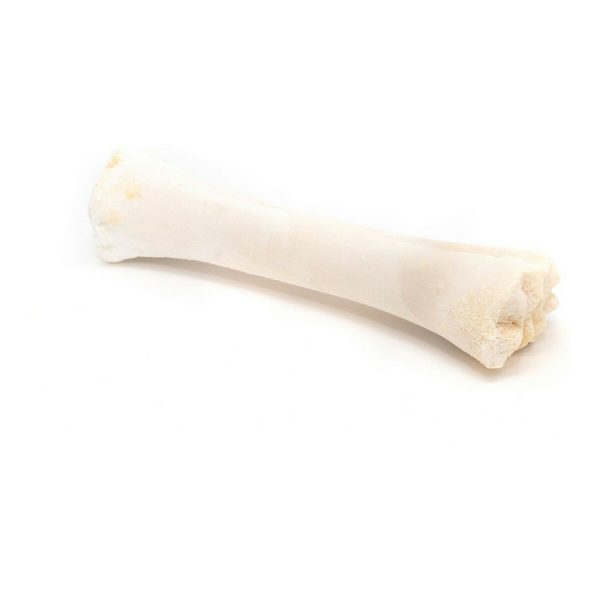 Snack voor honden Gloria Bot Calcium 20 Stuks