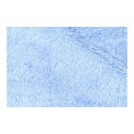 Huisdierendeken Gloria BABY Blue 100x70 cm