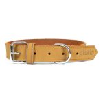 Hondenhalsband Gloria Oasis Geel (65 x 3 cm)
