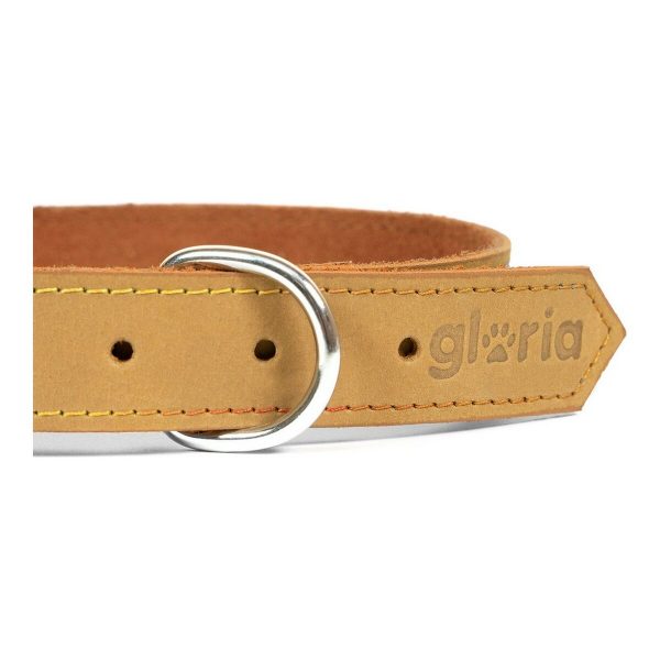 Hondenhalsband Gloria Oasis Geel (65 x 3 cm)