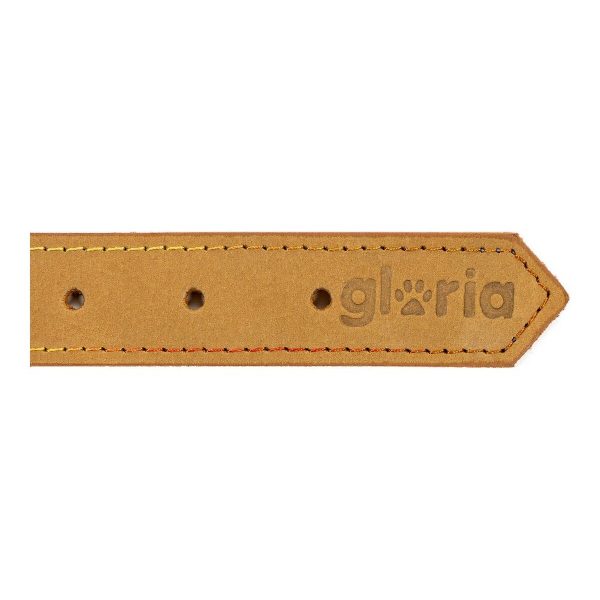 Hondenhalsband Gloria Oasis Geel (70 x 3 cm)