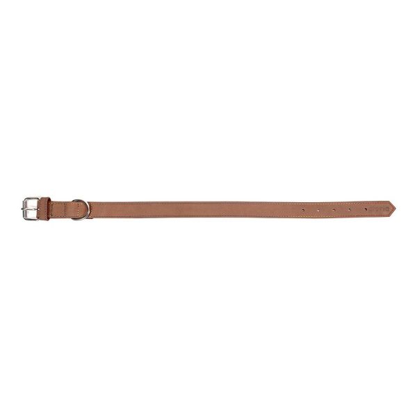 Hondenhalsband Gloria Oasis Bruin (70 x 3 cm)