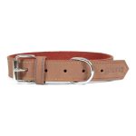 Hondenhalsband Gloria Oasis Bruin (70 x 3 cm)