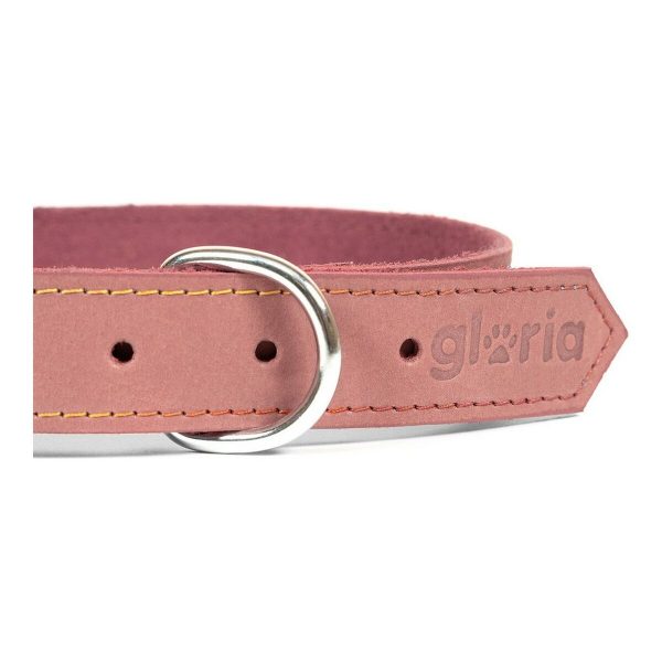 Hondenhalsband Gloria Oasis Roze (70 x 3 cm)