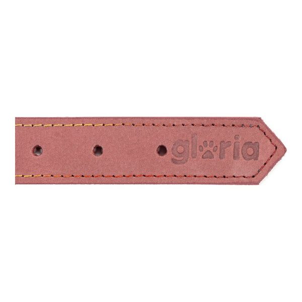 Hondenhalsband Gloria Oasis Roze (70 x 3 cm)