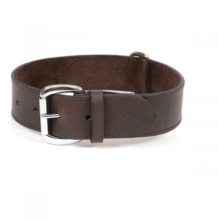 Hondenhalsband Gloria Bruin 75 cm (75 x 4 cm)