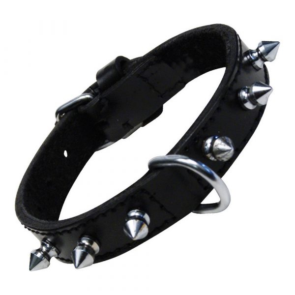 Hondenhalsband Gloria Zwart (50 cm)