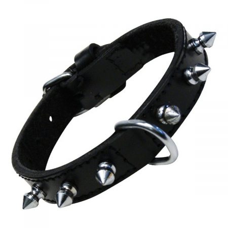 Hondenhalsband Gloria Zwart Spikes (55 cm)