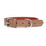 Hondenhalsband Gloria Oasis Bruin (1,2 x 35 cm)